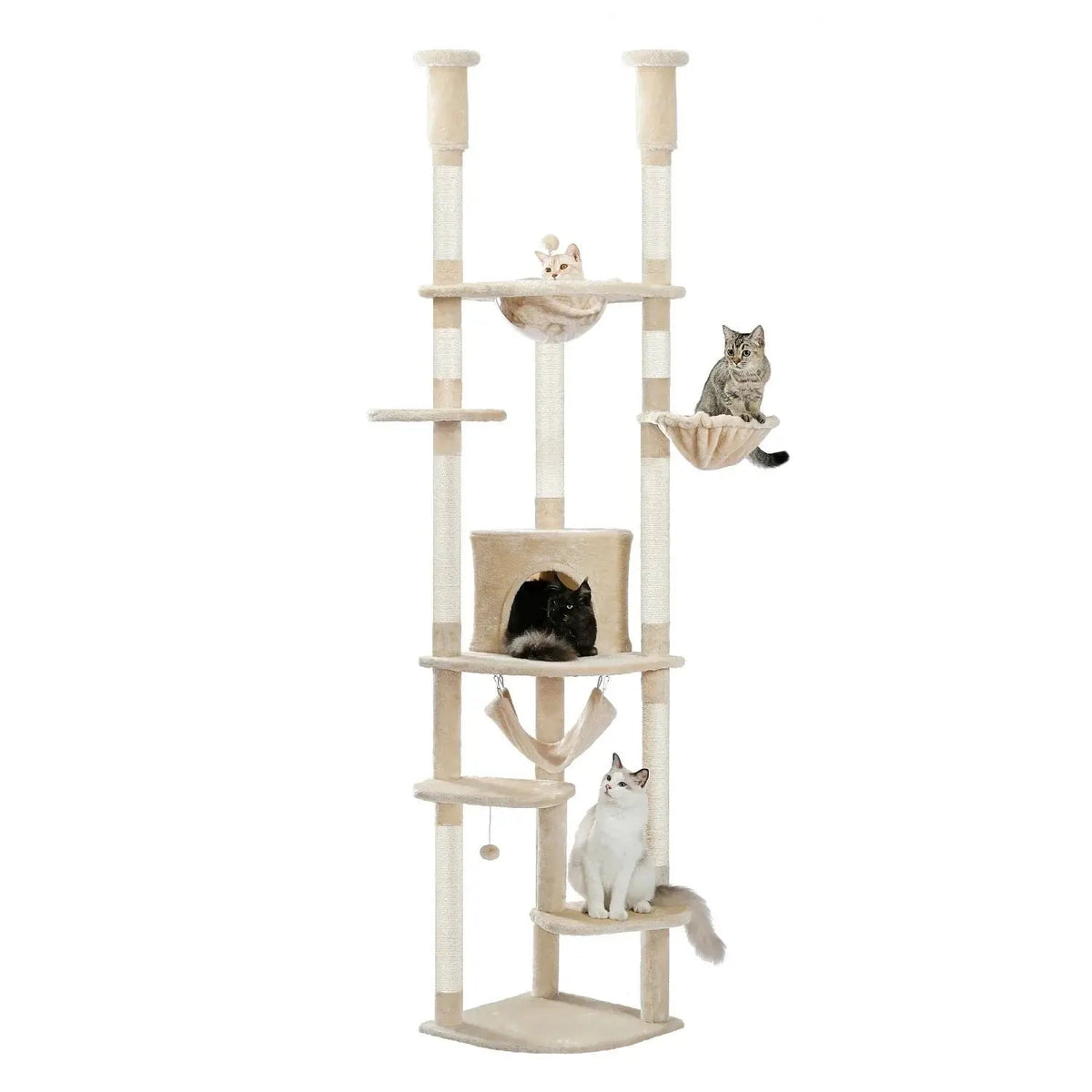 Arbre à chat Félinova ajustable