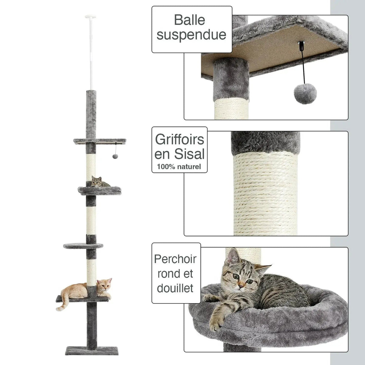 Arbre à chat Altura 274 cm